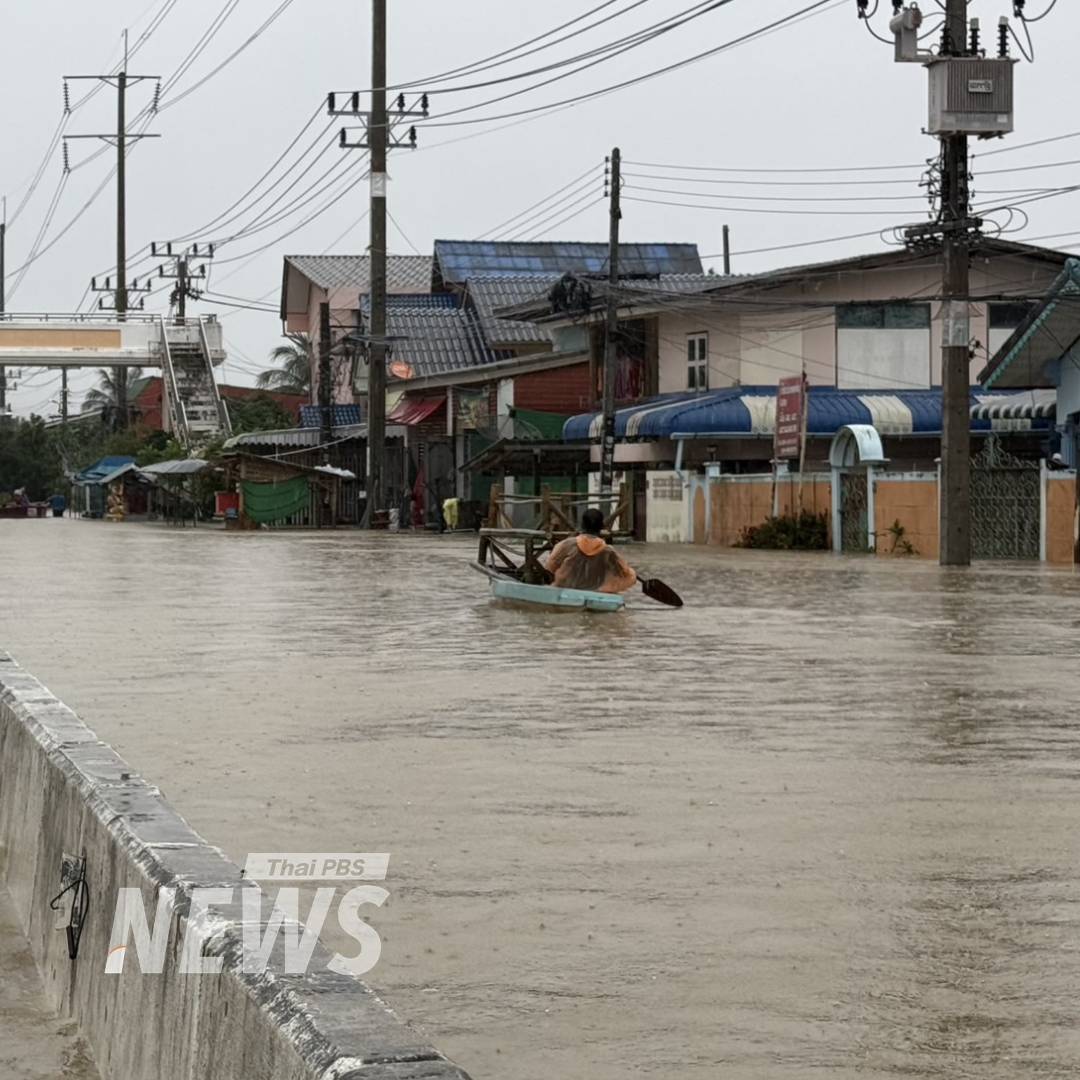 https://news.thaipbs.or.th/media/DL5UJCwG7QGD4DP3eNcpcYc6iVEFaz.jpg