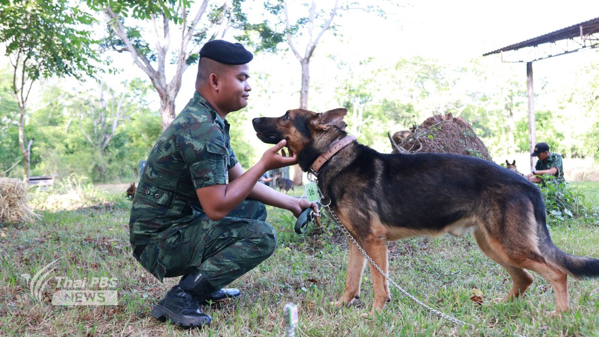 https://news.thaipbs.or.th/media/DL5UJCwG7QGD4DP3eSkBCGsVYoQTC4.jpg