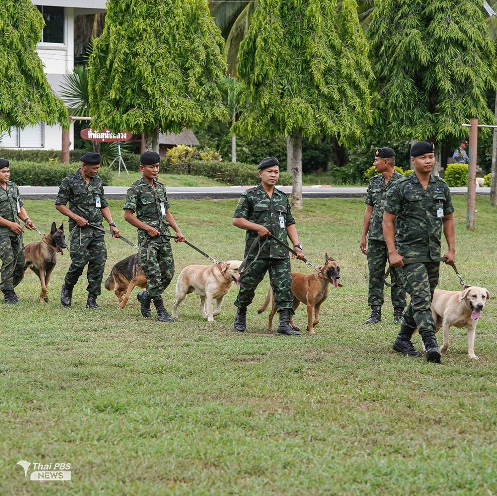 https://news.thaipbs.or.th/media/DL5UJCwG7QGD4DP3eSkBCGsVYoQTuL.jpg