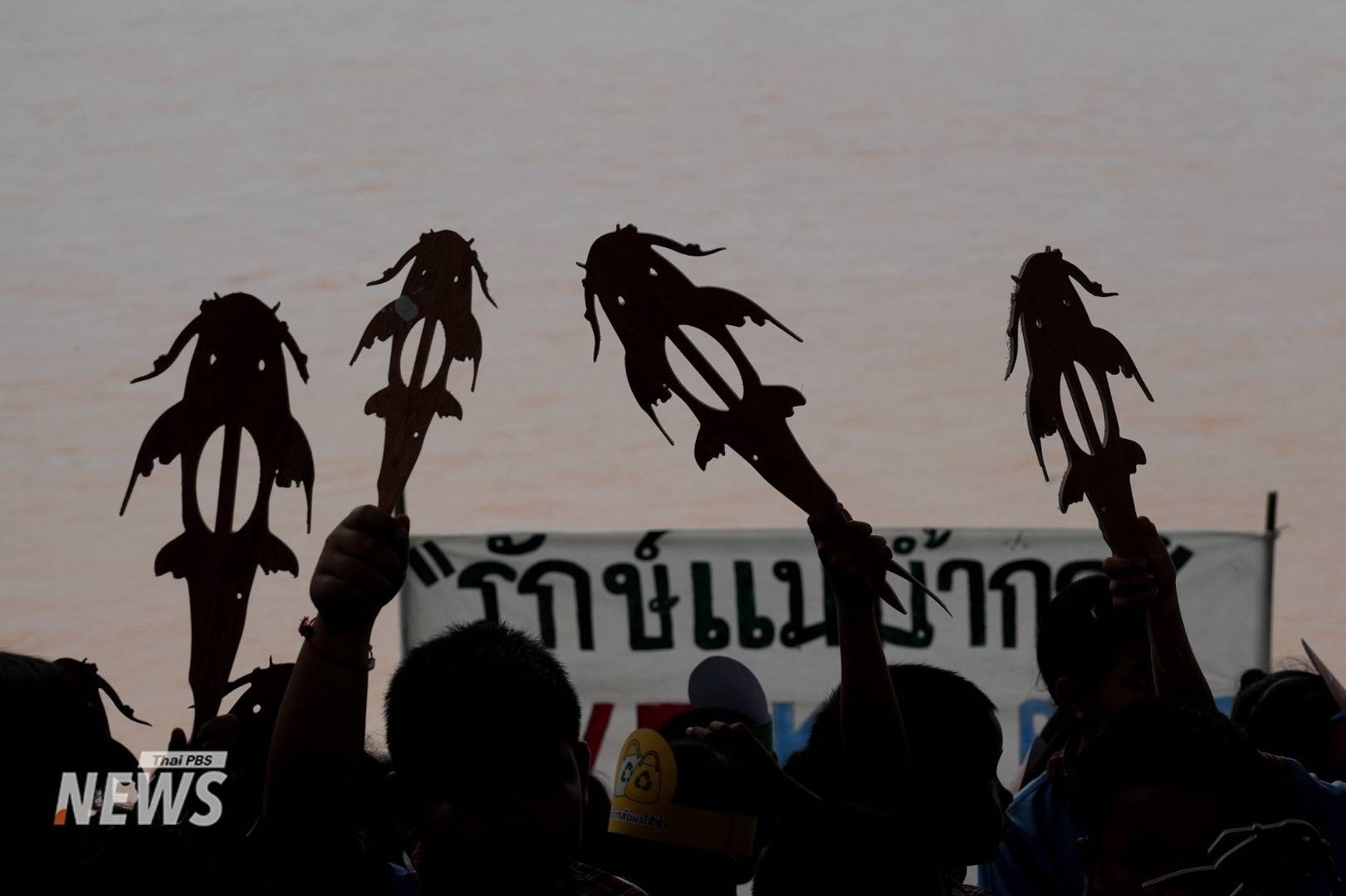 https://news.thaipbs.or.th/media/DL5UJCwG7QGD4DP3eckd5hH8f9MVwU.jpg