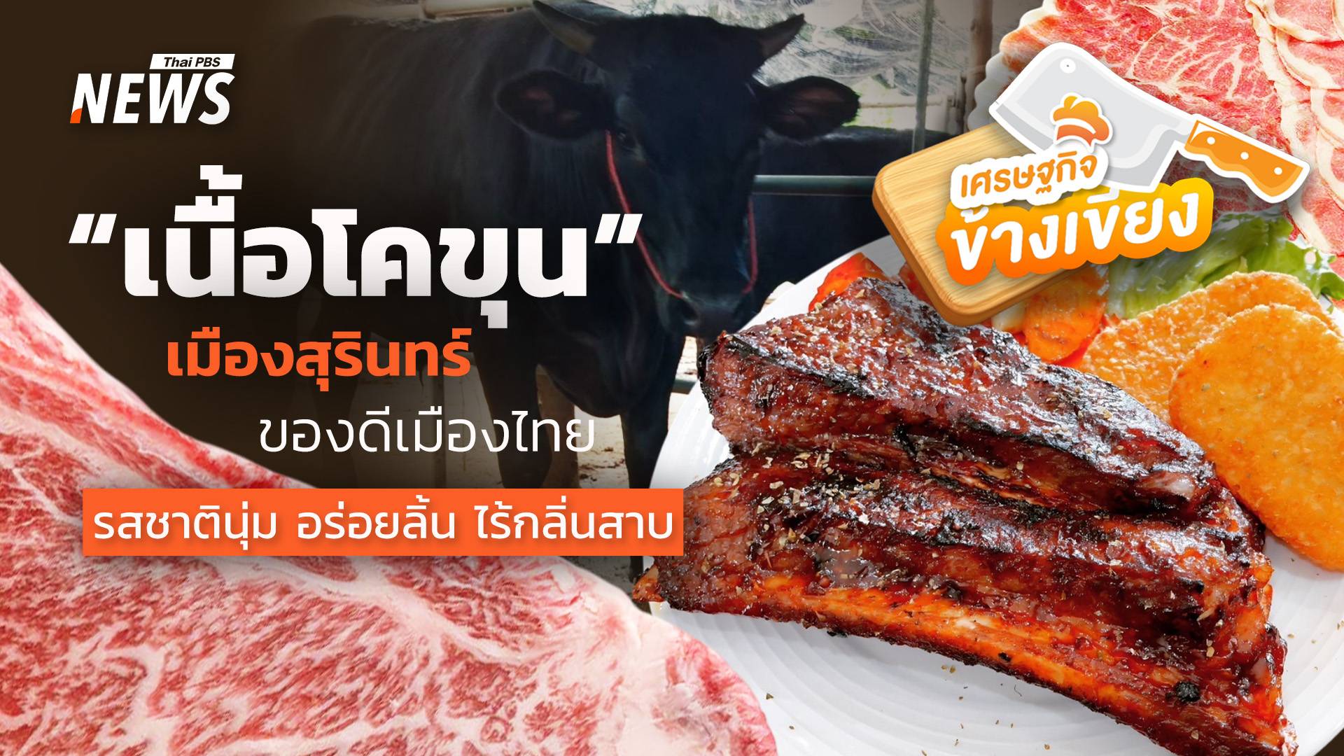 “เนื้อโคขุน” สุรินทร์ ของดีเมืองไทย รสชาตินุ่ม อร่อยลิ้น ไร้กลิ่นสาบ
