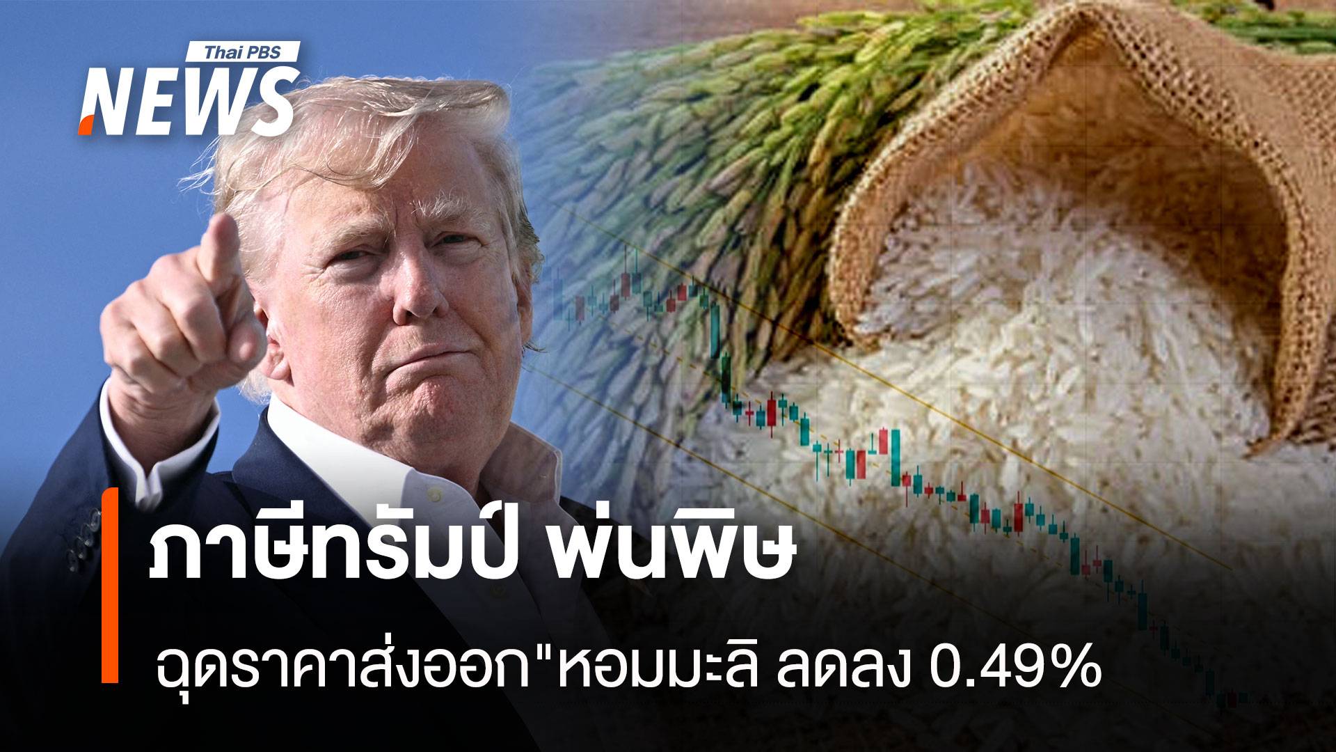 ภาษีทรัมป์ พ่นพิษ ฉุดราคาส่งออก "หอมมะลิ ลดลง 0.49%