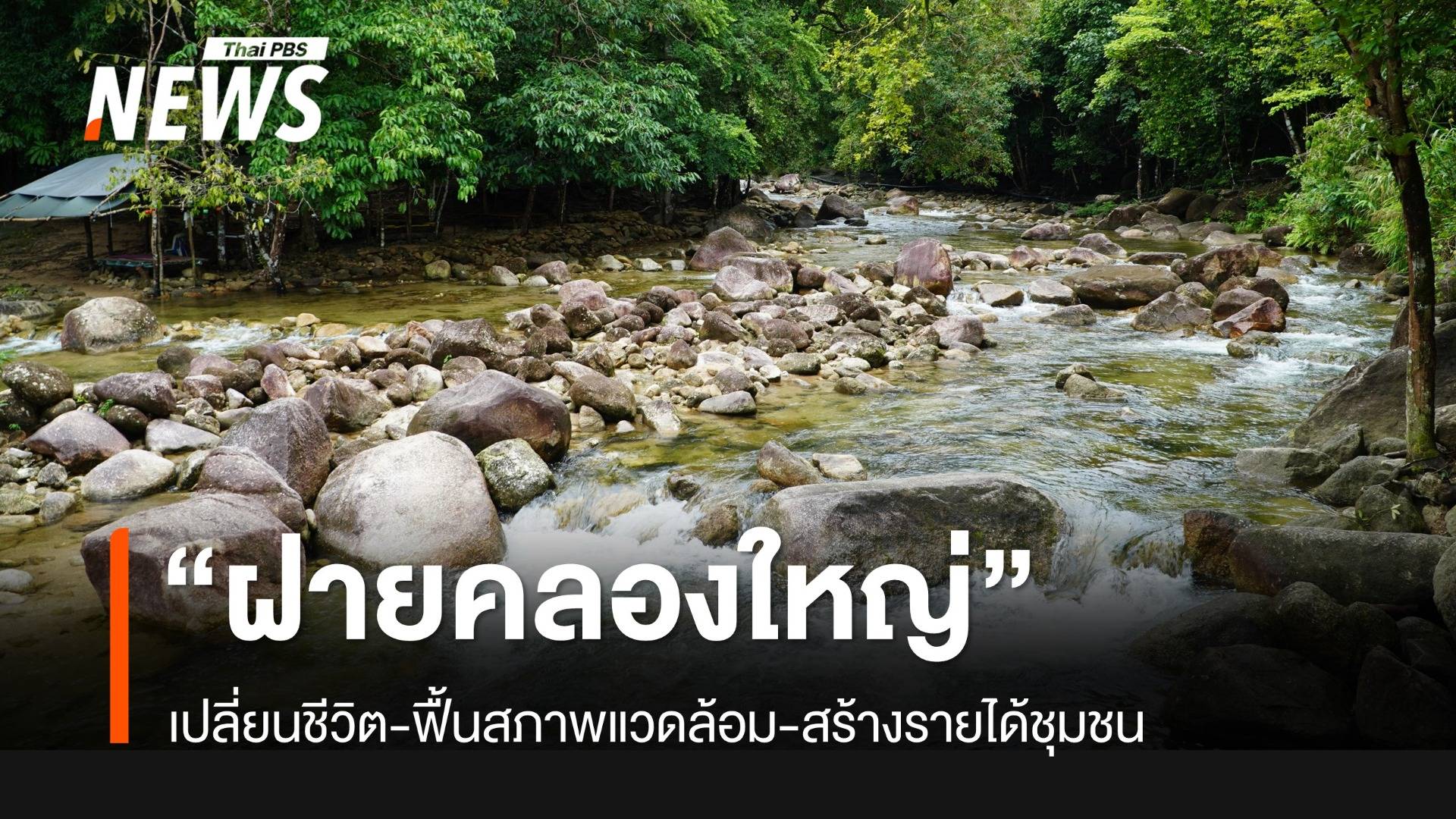 “ฝายคลองใหญ่” จ.ตรัง แหล่งน้ำเปลี่ยนชีวิต ฟื้นสภาพแวดล้อม สร้างรายได้ชุมชน