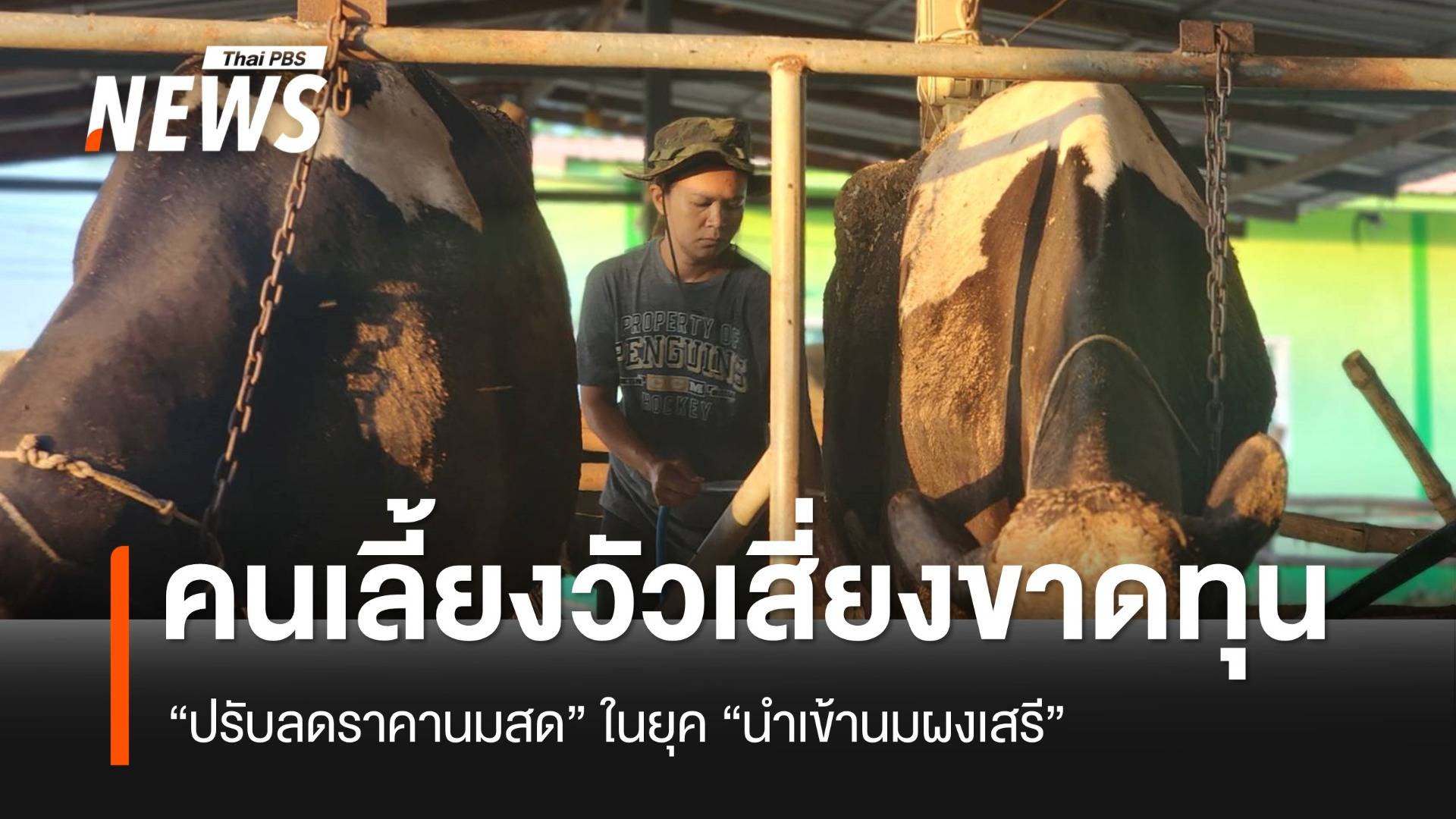 “ปรับลดราคานมสด” คนเลี้ยงโคนมเสี่ยงขาดทุน ในยุคนำเข้านมผงเสรี