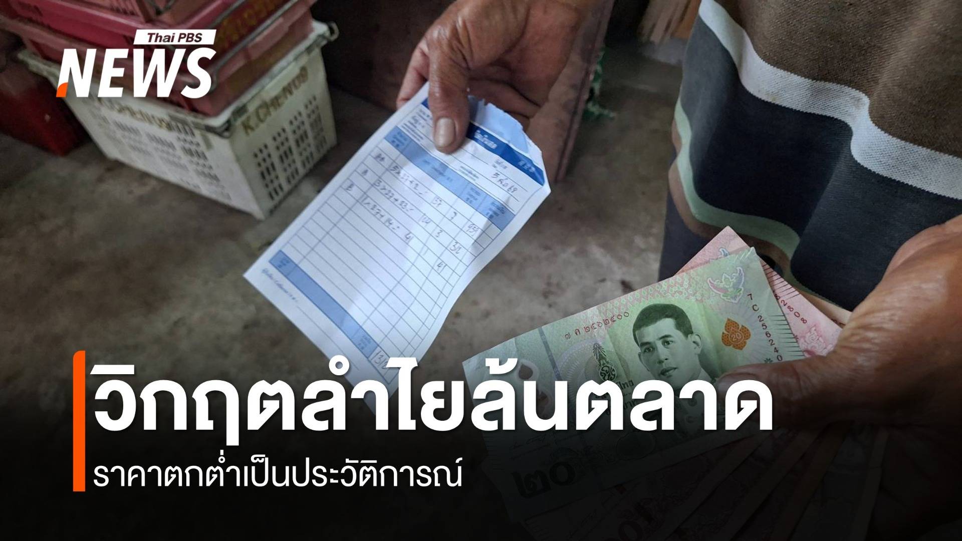 ชาวสวนลำไยเหนือเดือดจัด ราคาดิ่งขาดทุนทั้งแผ่นดิน