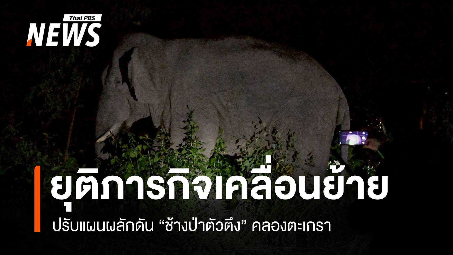 ยุติภารกิจเคลื่อนย้าย "ช้างป่าตัวตึง" คลองตะเกรา ปรับแผนผลักดันเข้าป่า