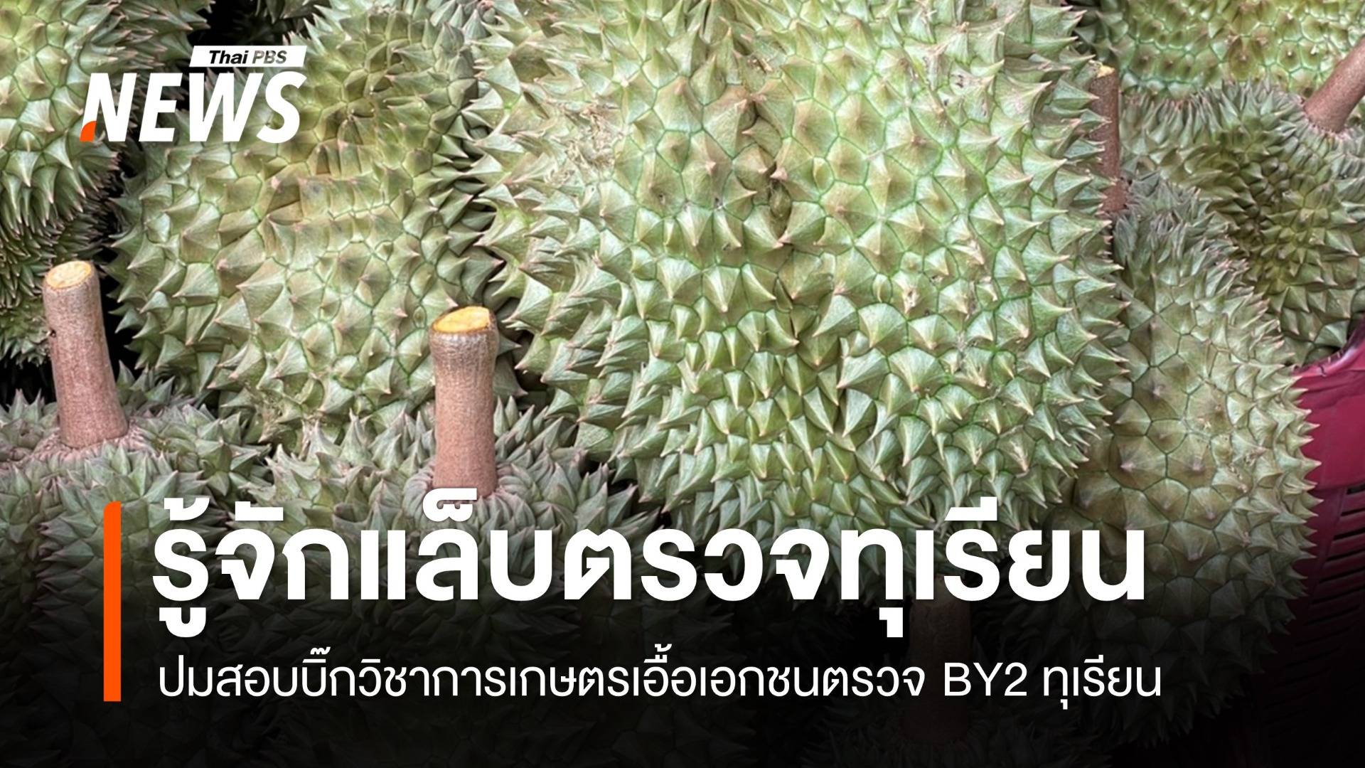 ใครบ้างอยู่ในบริษัทรับงานตรวจ BY2 ทุเรียน ปมสอบอธิบดีเกษตร