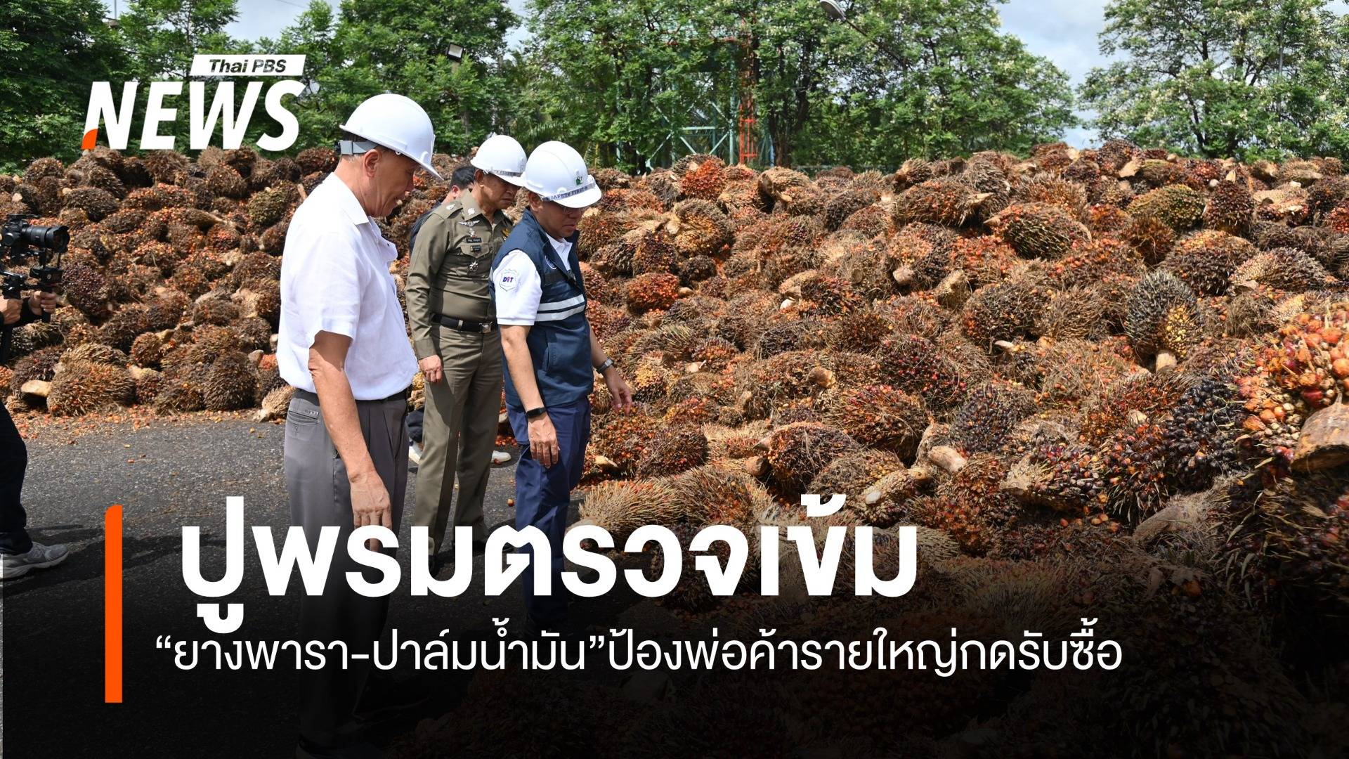 ปูพรมตรวจเข้ม “ยางพารา-ปาล์มน้ำมัน”ป้องพ่อค้ารายใหญ่กดรับซื้อ