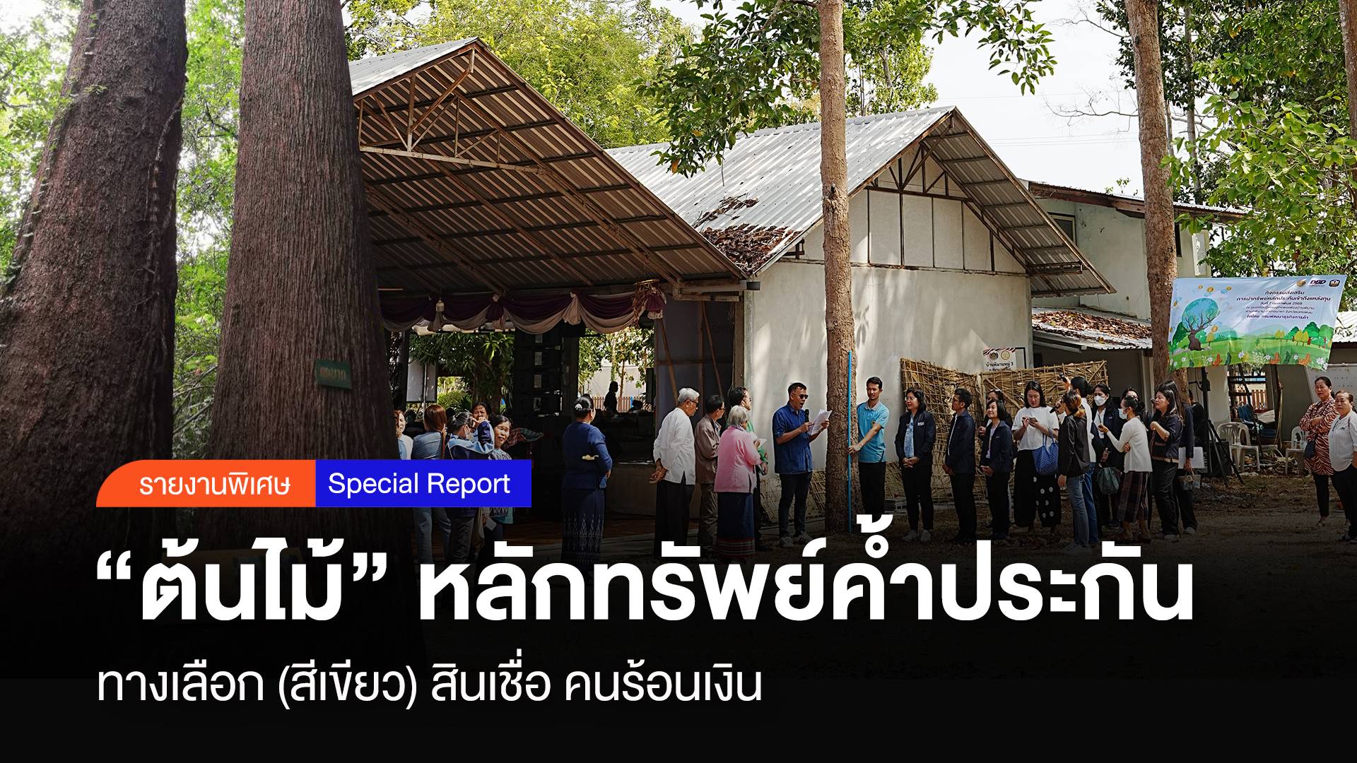 "ต้นไม้" หลักทรัพย์ค้ำประกัน ทางเลือก (สีเขียว)สินเชื่อ คนร้อนเงิน