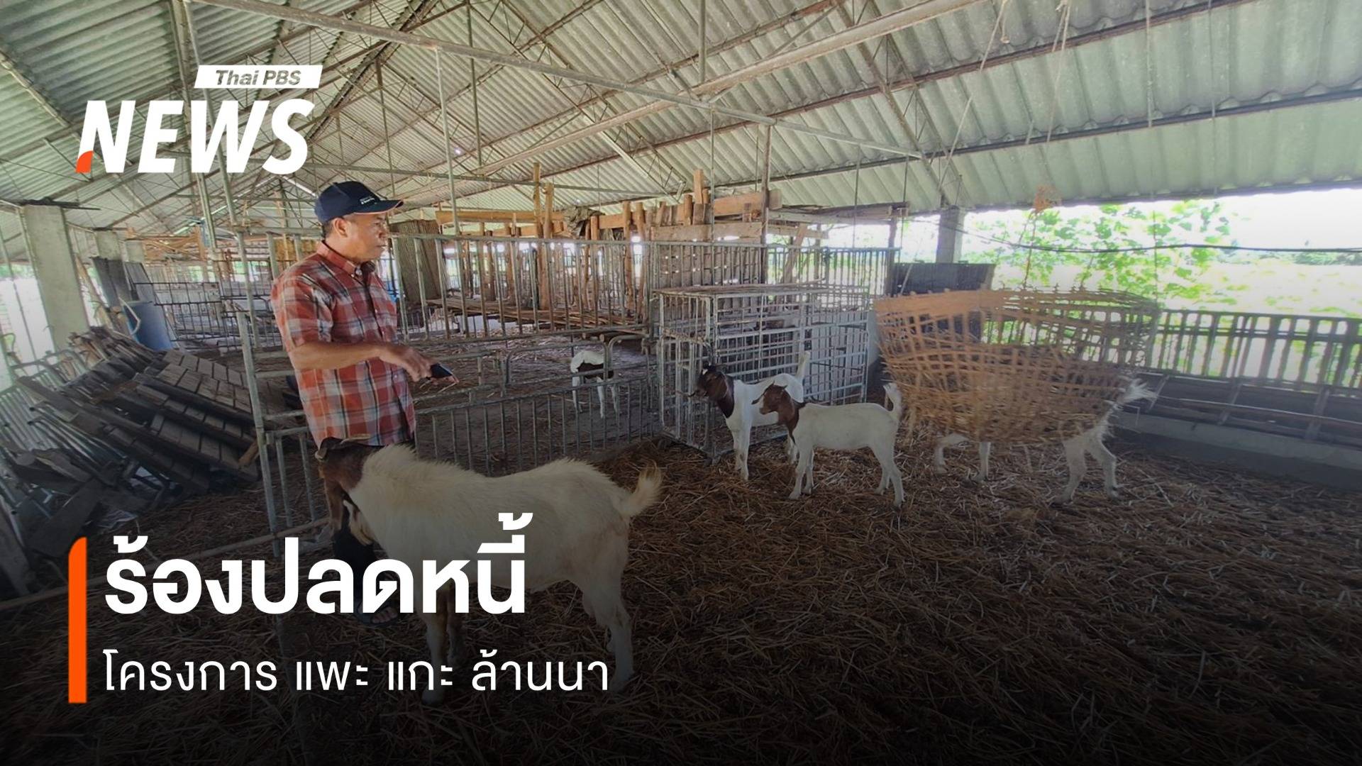 แพะ แกะ ล้านนา บทเรียนโครงการรัฐ ล้มเหลวเพราะเหตุใด?