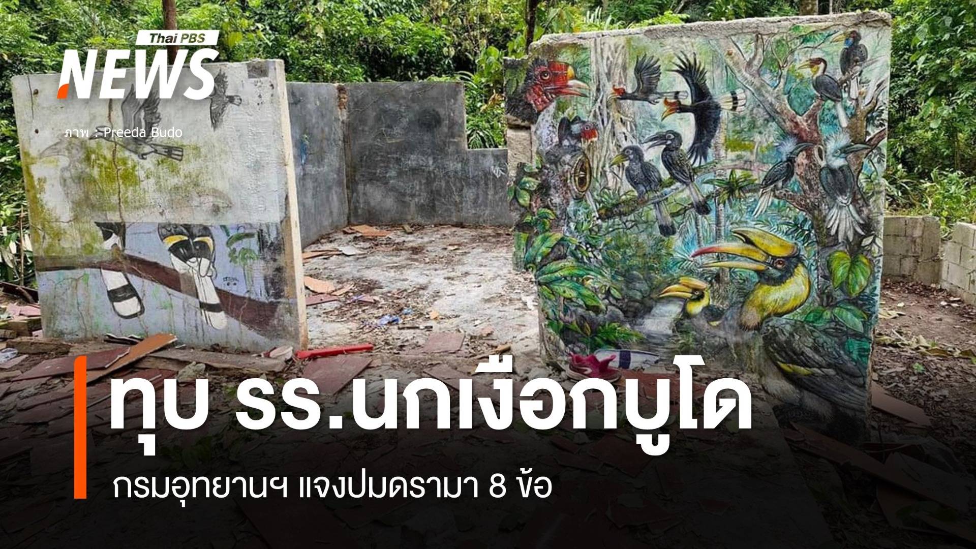 ดรามา ทุบทิ้งโรงเรียนศิลปะมูลนิธินกเงือกป่าบูโด