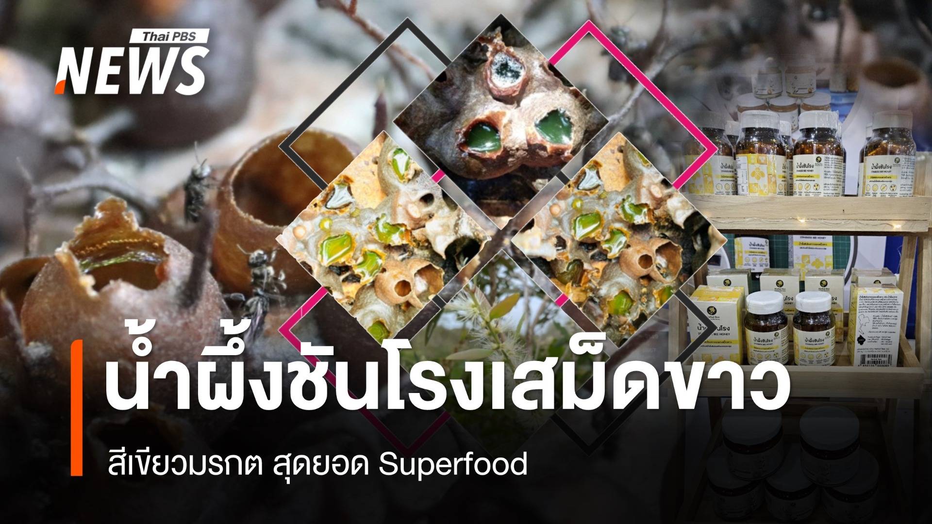 น้ำผึ้งชันโรงเสม็ดขาว สุดยอด Superfood ต้านโรคอัลไซเมอร์-มะเร็ง