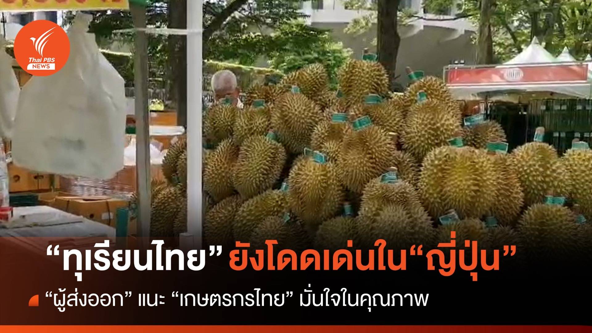 “ทุเรียนไทย” ยังโดดเด่นในญี่ปุ่น ผู้ส่งออกชี้ให้เกษตรกรมั่นใจในคุณภาพ