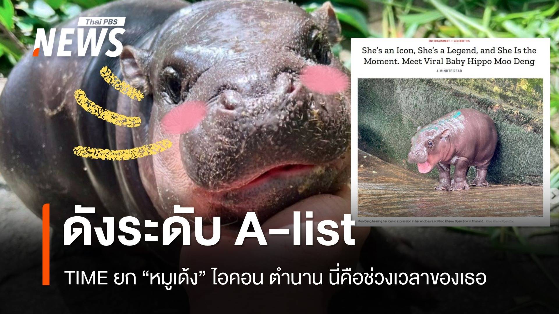 TIME ยก "หมูเด้ง" ไอคอน A-list ฮิปโปแคระสุดปัง