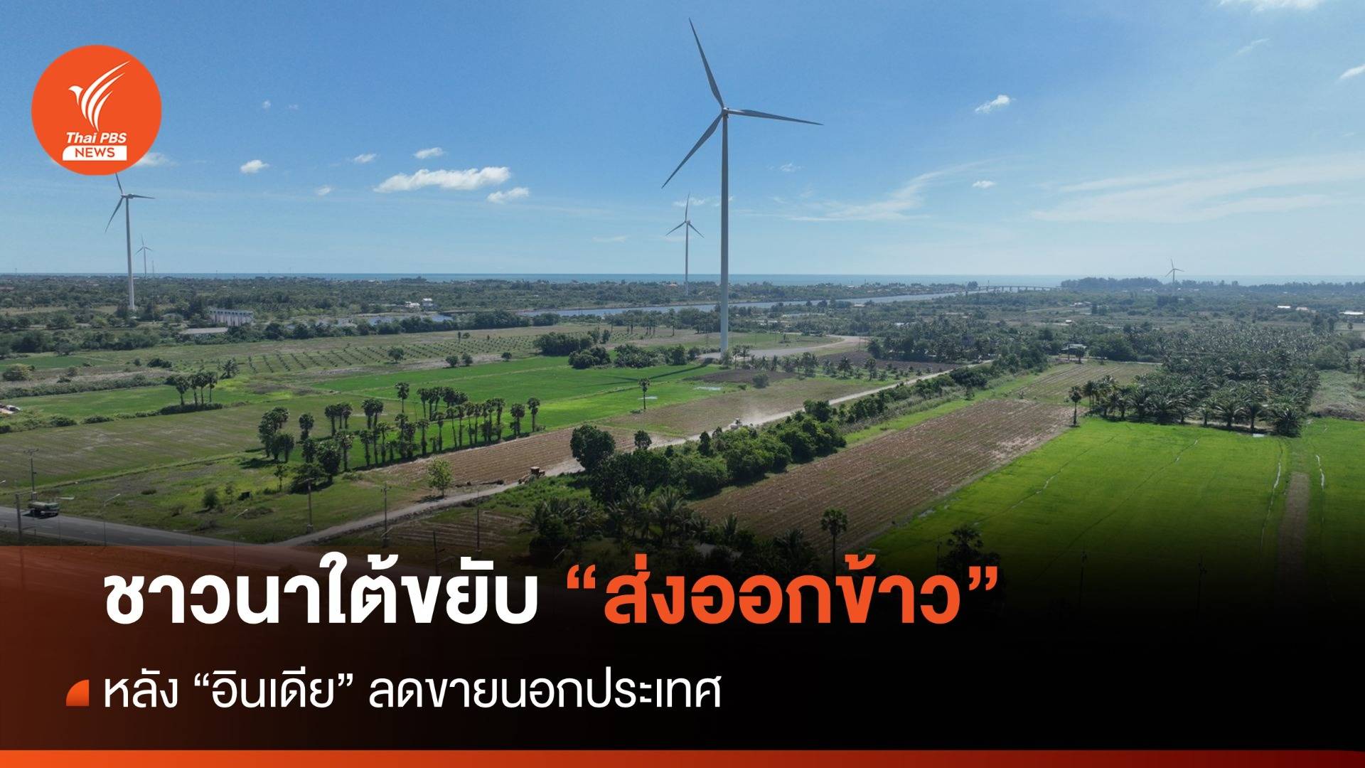 ชาวนาใต้ขยับ โอกาส “ส่งออกข้าว” เพิ่ม หลังอินเดียลดส่งออก