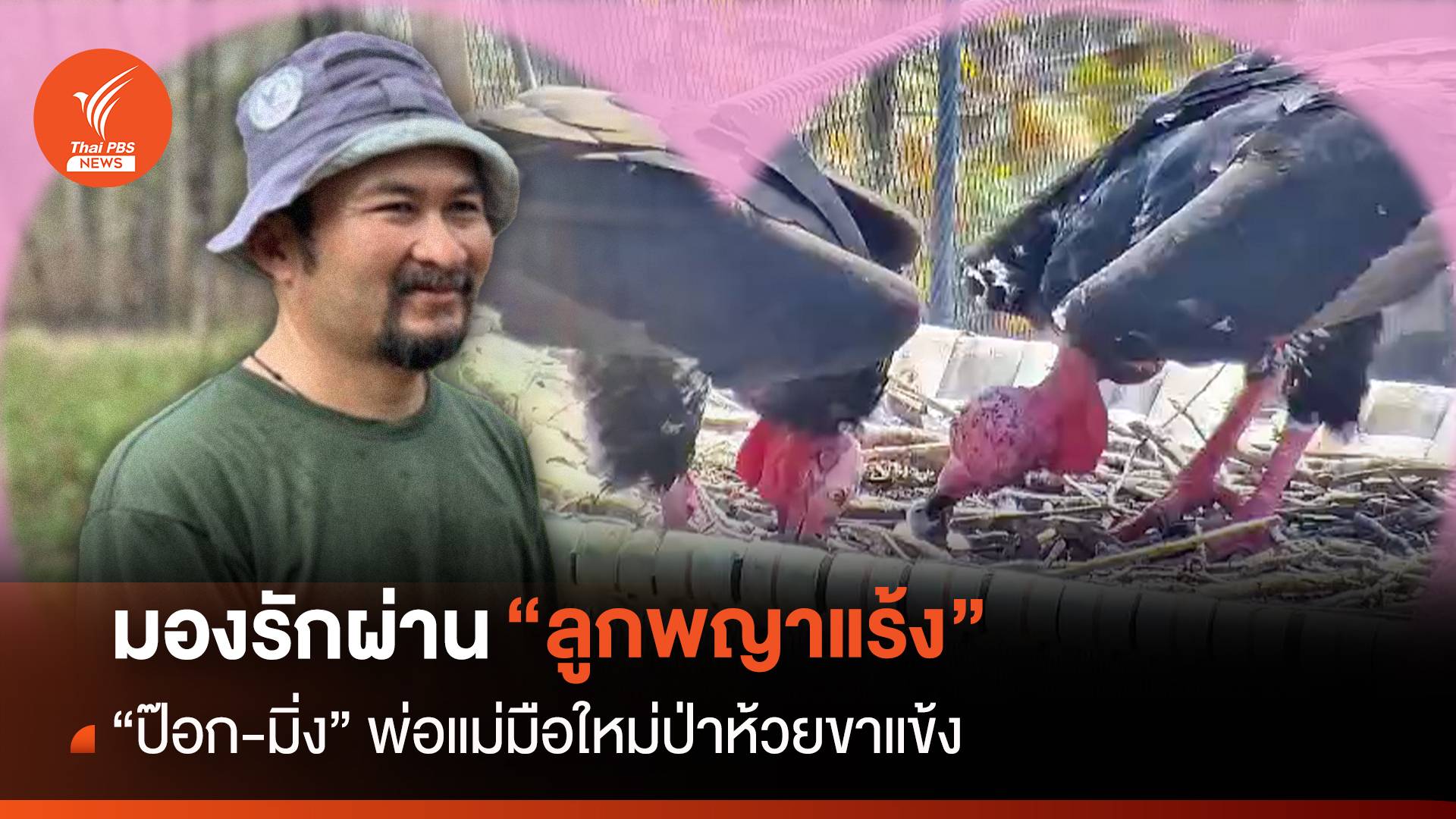 มองรักผ่าน “ลูกพญาแร้ง” รับวาเลนไทน์ “ป๊อก-มิ่ง” พ่อแม่มือใหม่