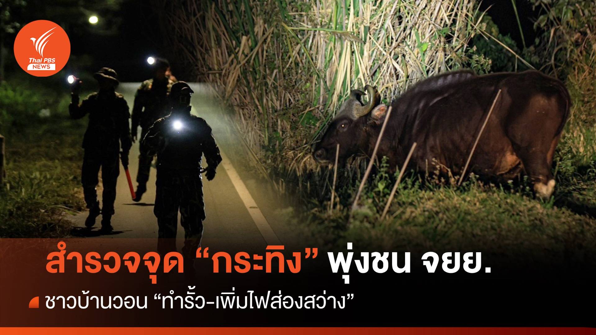 สำรวจถนน 3052 จุด "กระทิง" พุ่งชน จยย.ทำเด็กเจ็บ