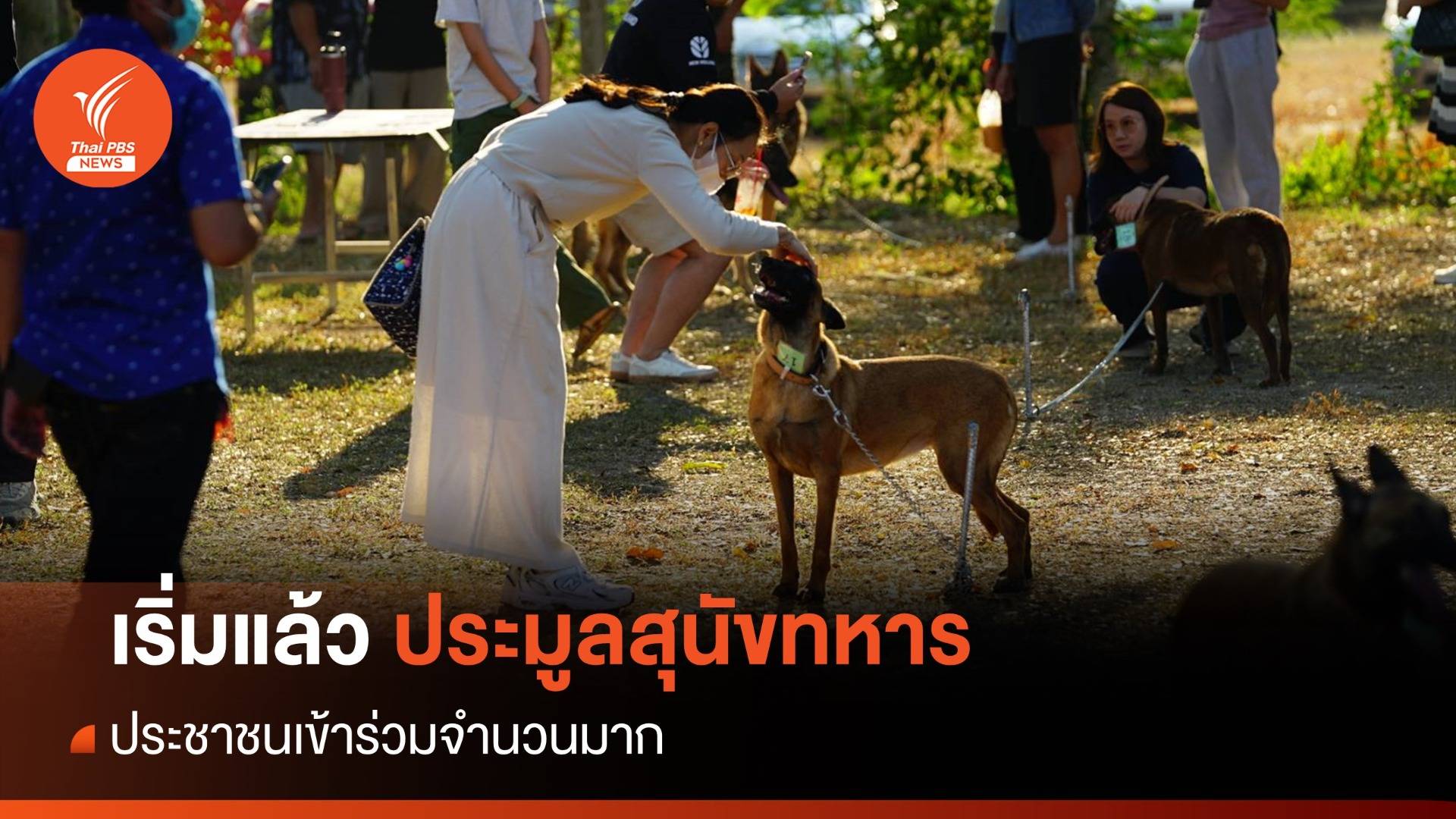 ประมูลสุนัขทหาร ราคาเริ่มต้น 1,500 บาท ปชช.เข้าร่วมจำนวนมาก