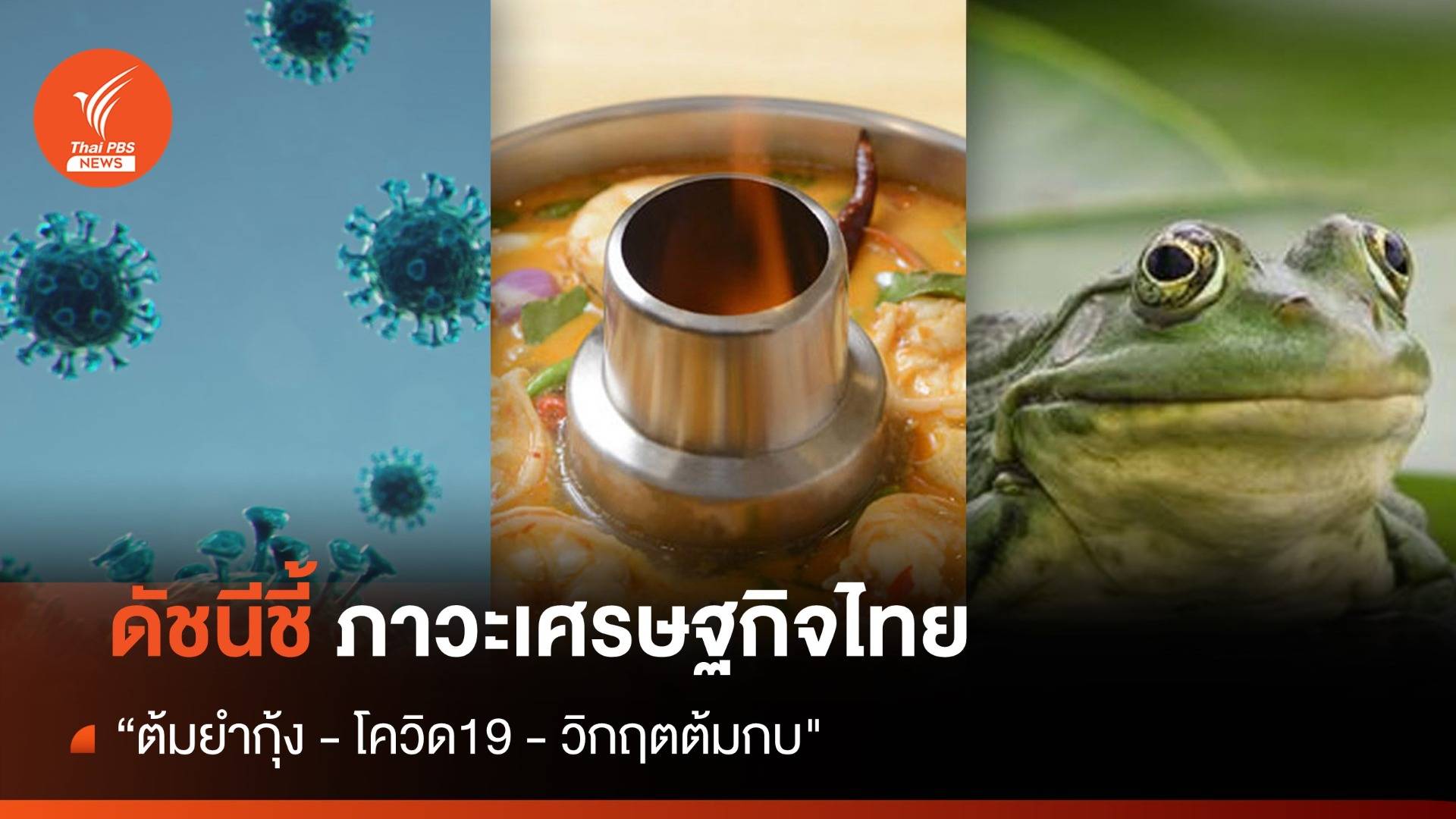 ดัชนีชี้ภาวะเศรษฐกิจไทย "ต้มยำกุ้ง" - โควิด-19 - "ต้มกบ"