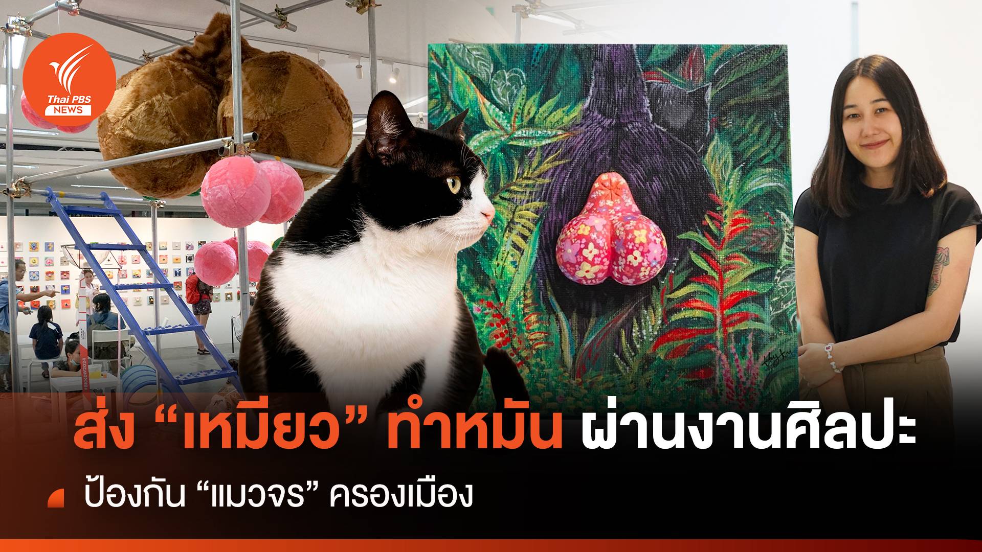 ส่ง "เหมียว" ทำหมัน ผ่านงานศิลปะ ป้องกัน "แมวจร" ครองเมือง