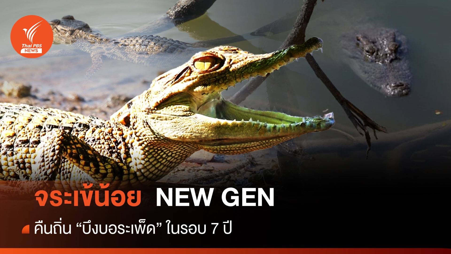 จระเข้น้อย  NEW GEN คืนถิ่น"บึงบอระเพ็ด" ในรอบ 7 ปี