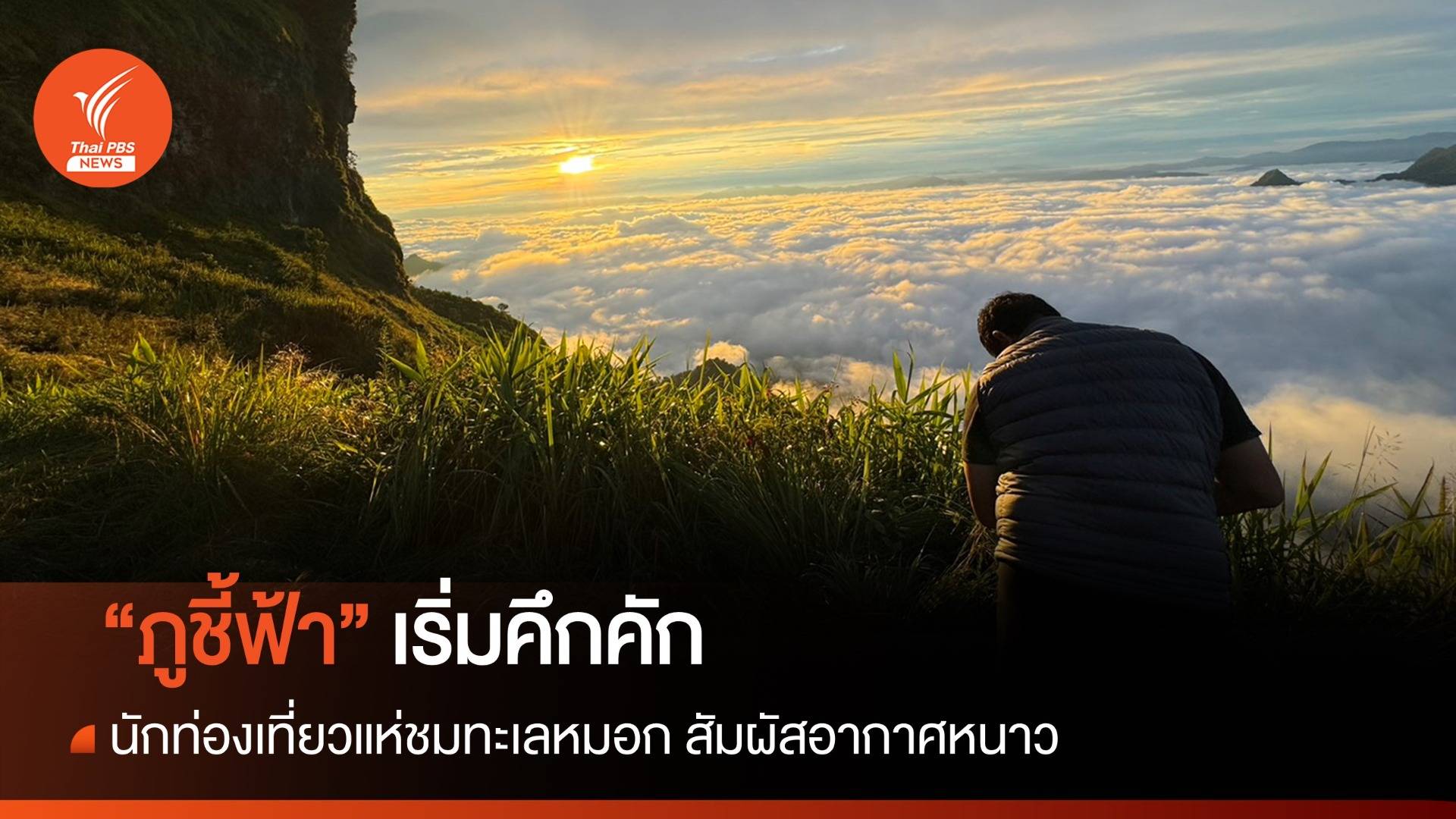 "ภูชี้ฟ้า" 2566 เริ่มคึกคัก นทท.แห่ชมทะเลหมอก สัมผัสอากาศหนาว