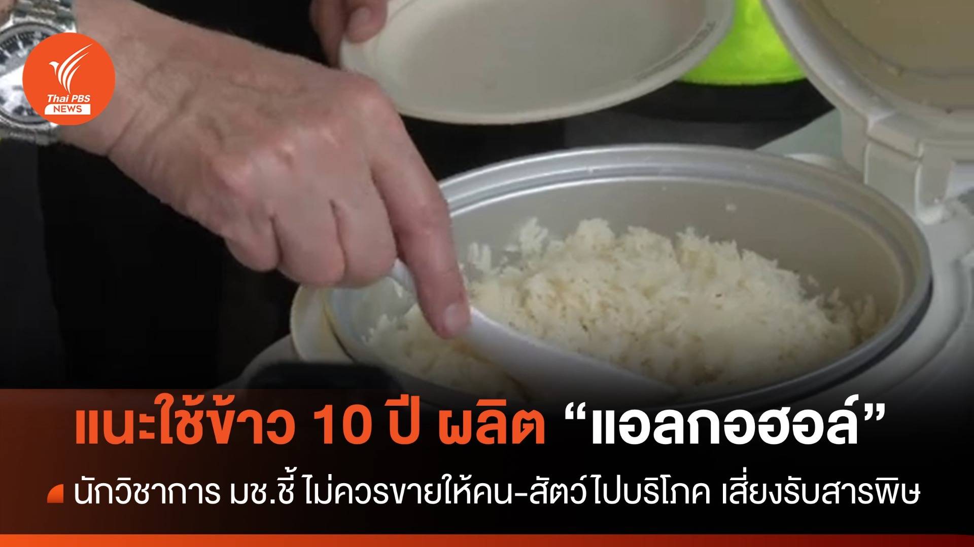 นักวิชาการ มช. แนะใช้ข้าวเก่า 10 ปี ผลิตแอลกอฮอล์ - น้ำส้มสายชู 