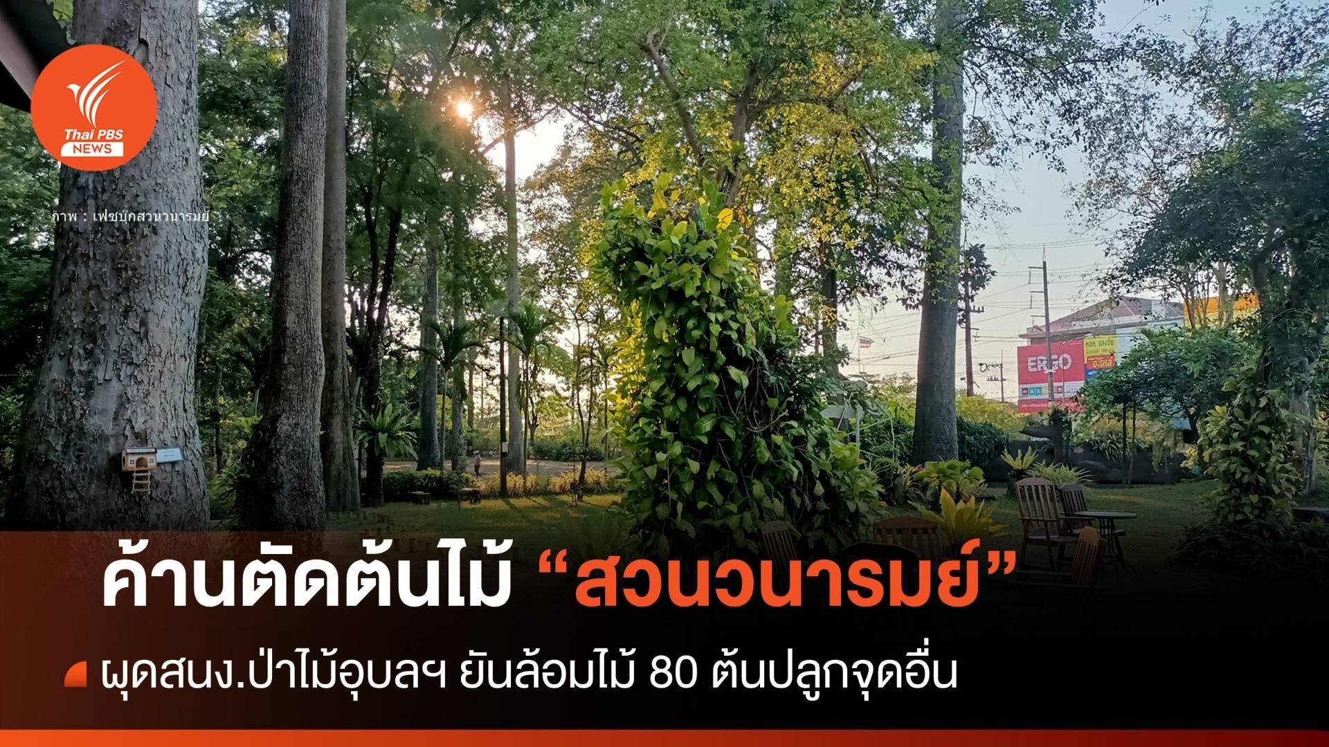 แจงวุ่น! ชาวบ้านค้านตัดต้นไม้สวนวนารมย์ ผุด สนง.ป่าไม้อุบลฯ