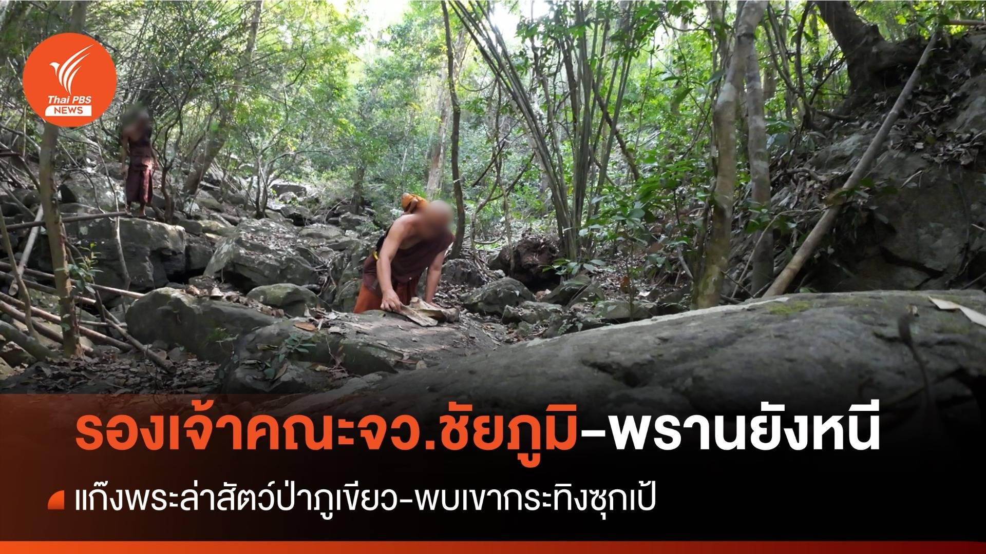 พระวัดดังแก๊งล่าสัตว์ป่าภูเขียวยังหนี-พบเขากระทิงซุกเป้