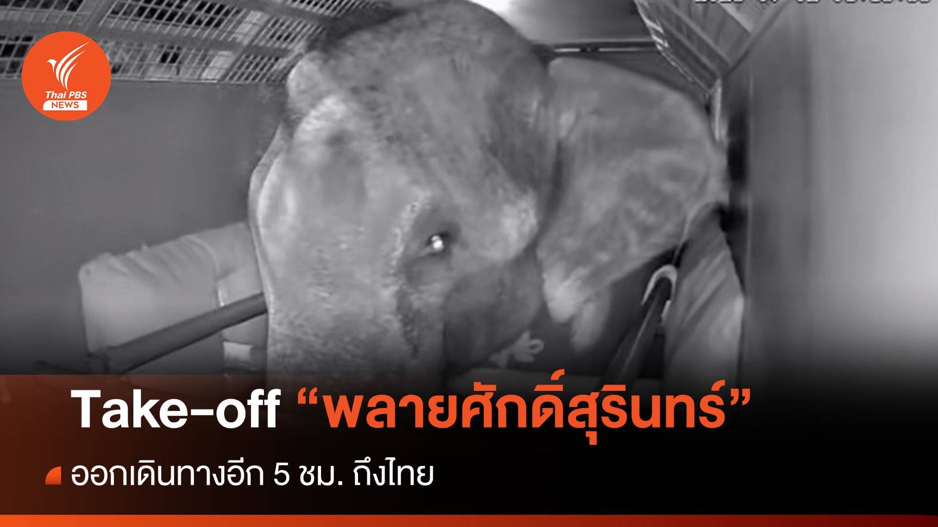 Take-off “พลายศักดิ์สุรินทร์” ออกเดินทางอีก 5 ชม. ถึงไทยบ่าย 2