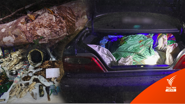 ถอดสมการเครือข่ายเวียดนาม - มอดไม้กฤษณาป่าภูเขียว