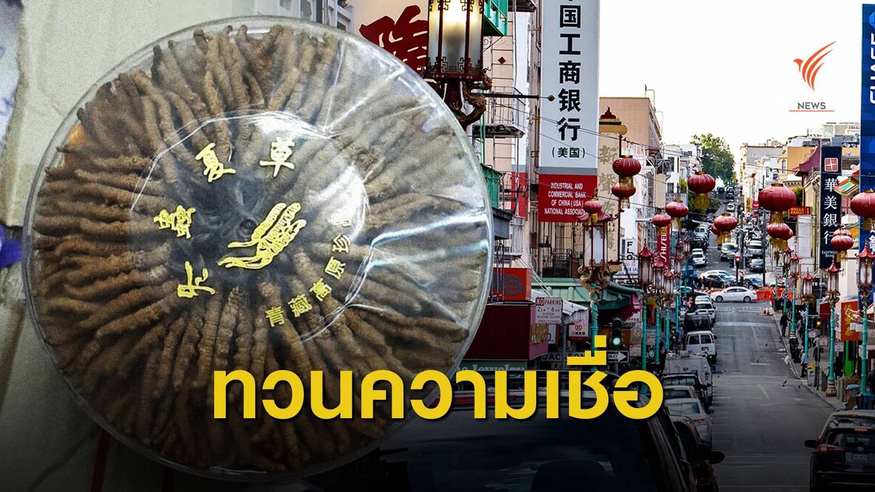 "ถั่งเช่า" สมุนไพรสรรพคุณครอบจักรวาลจริงหรือ ?