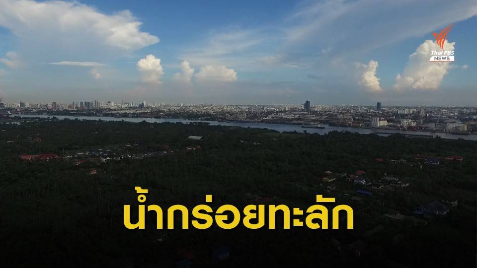 เกษตรกรเดือดร้อนหนัก น้ำทะเลหนุนเข้าคุ้งบางกะเจ้า