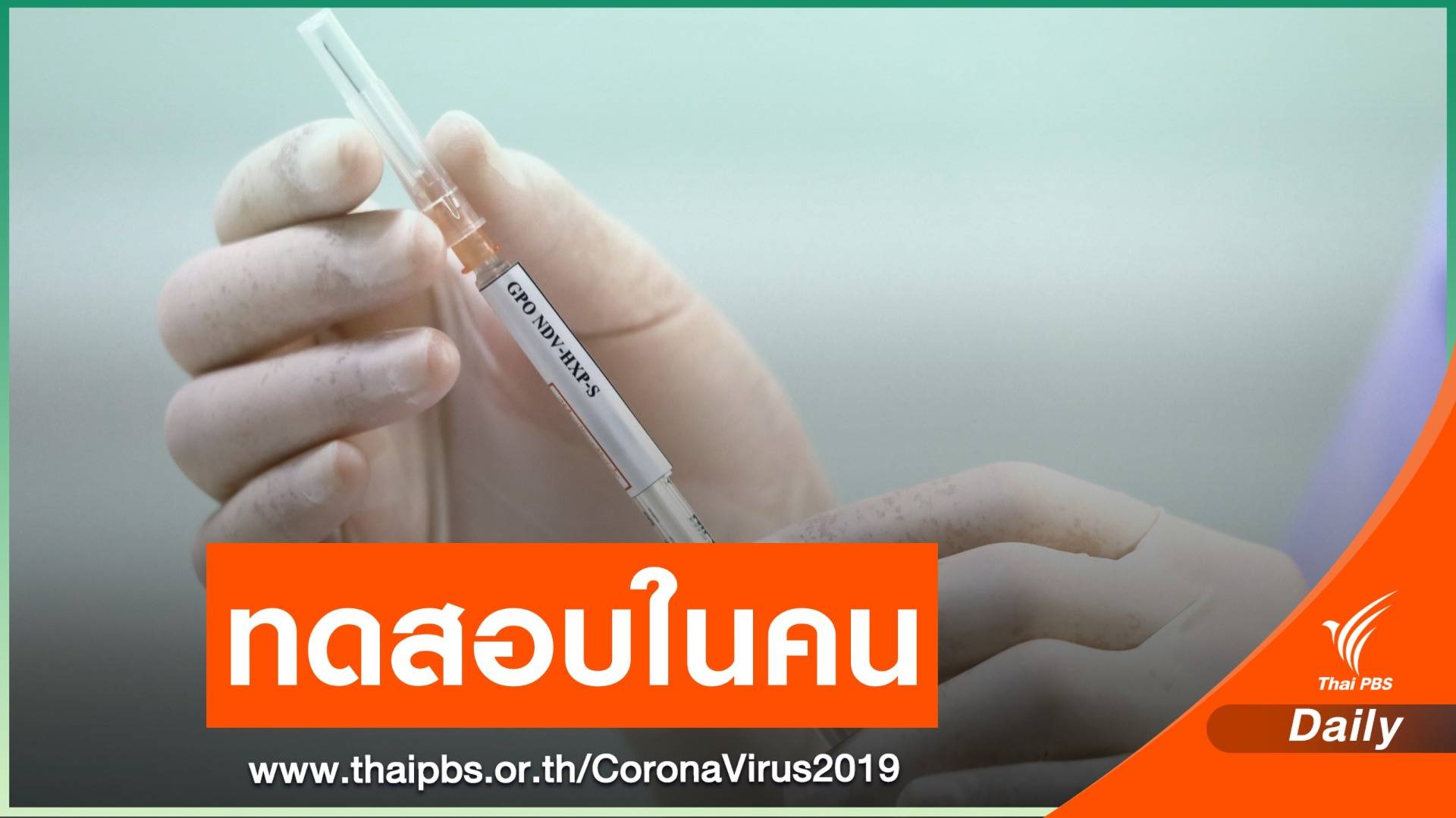 เริ่มแล้ว! อภ.ทดสอบวัคซีน COVID-19 ในคน ระยะ 1-2