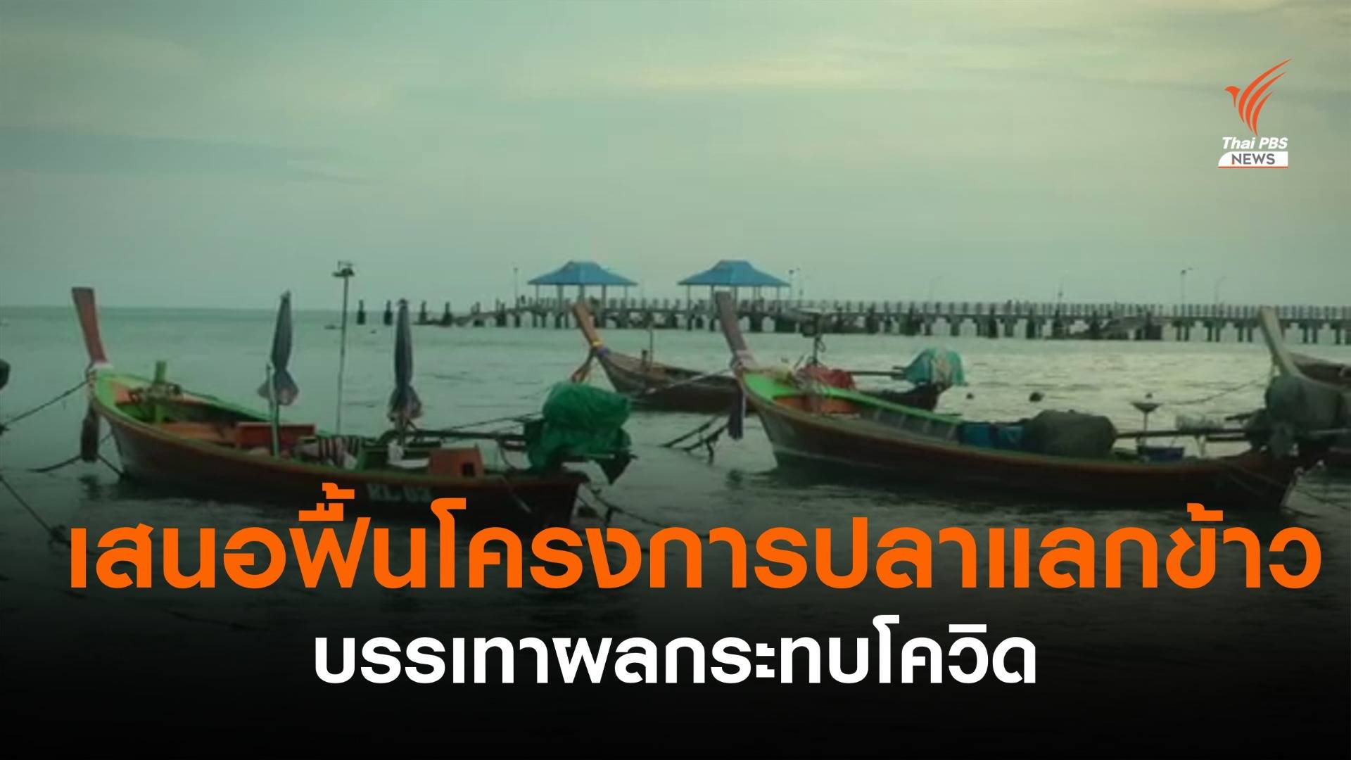 ชาวเลราไวย์เสนอฟื้นโครงการ "ปลาแลกข้าว" บรรเทาผลกระทบโควิด