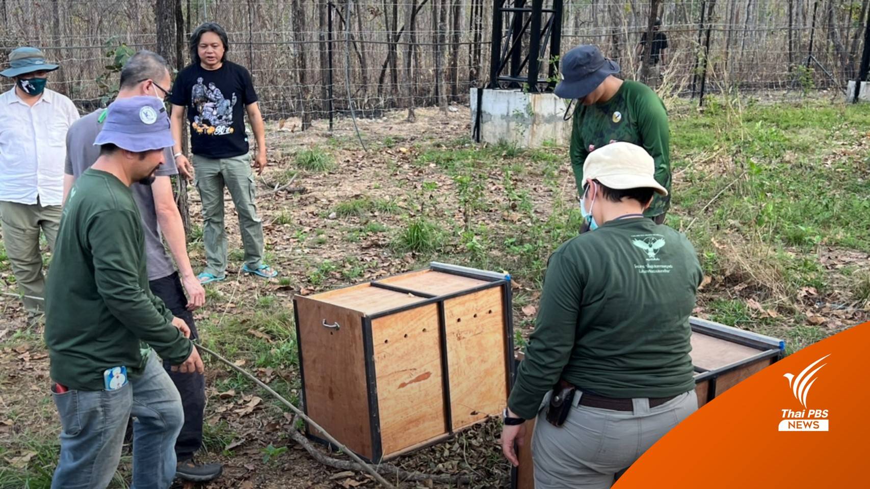 เปิดบ้านกลางป่า "พญาแร้ง" ก่อนส่งตัว 14 ก.พ.นี้