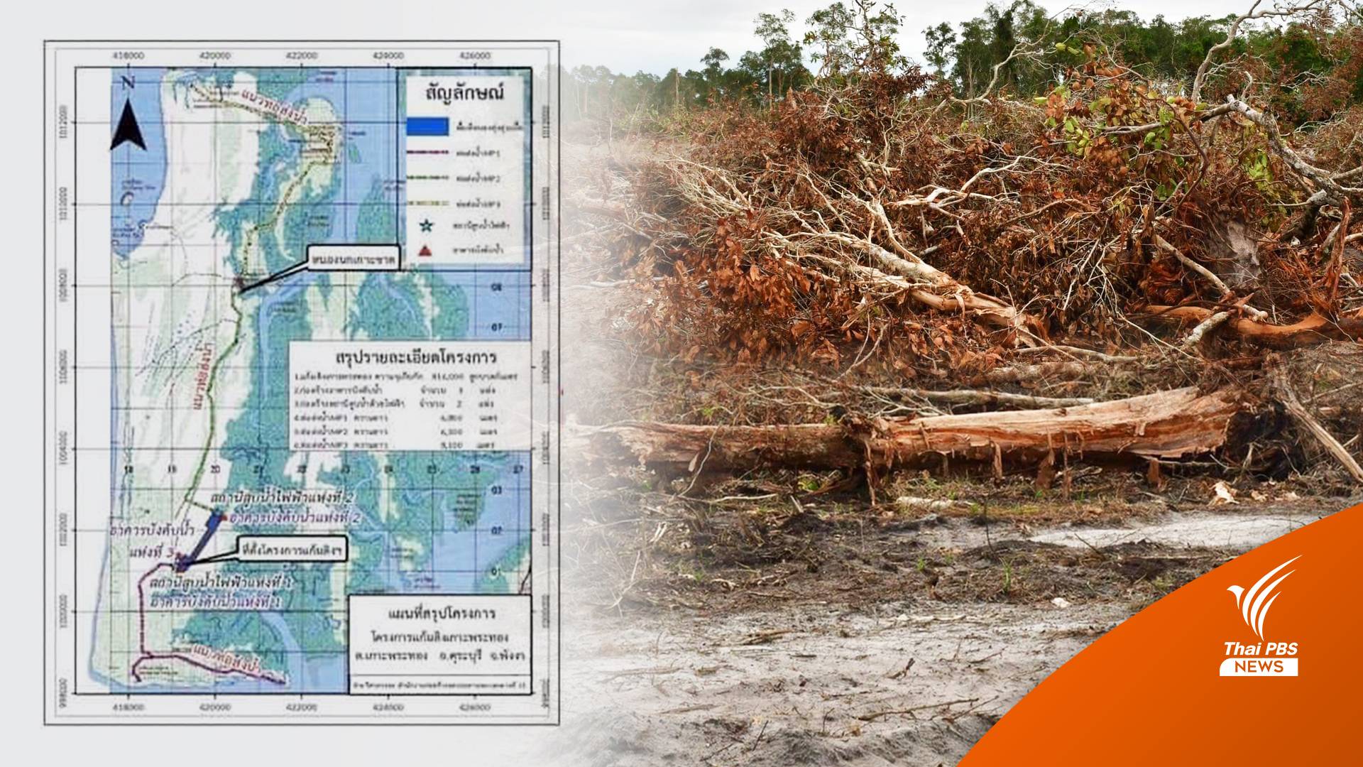 ตะลึง! ไถป่าเสม็ดบน "เกาะพระทอง"  ผุดแก้มลิงวงเงิน 350 ล้าน