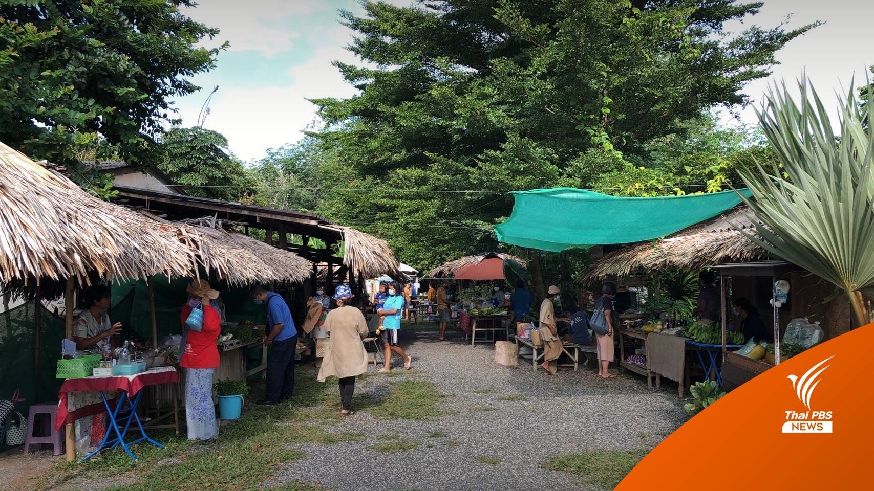 เปลี่ยนที่รกร้างเป็นตลาดทางเลือก จุดนัดพบคนหัวใจอินทรีย์