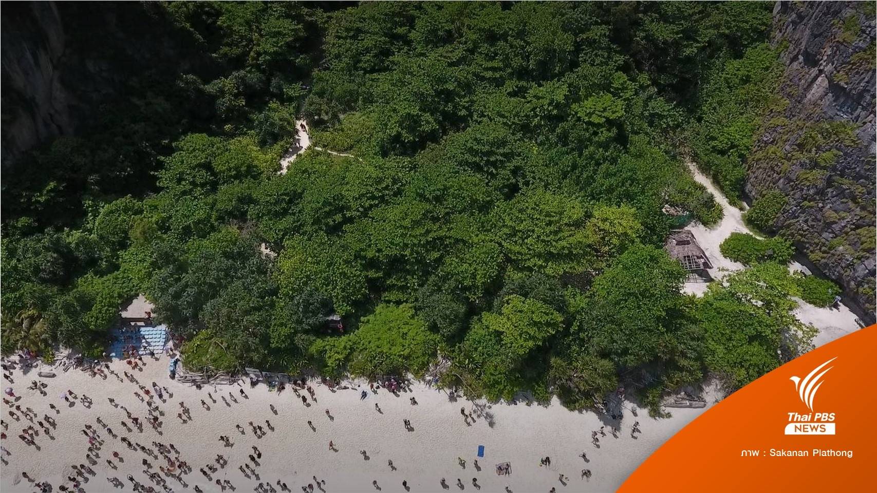 ปิดคดี! ยกฟ้อง The Beach ให้กรมป่าไม้ฟื้นฟู "อ่าวมาหยา"
