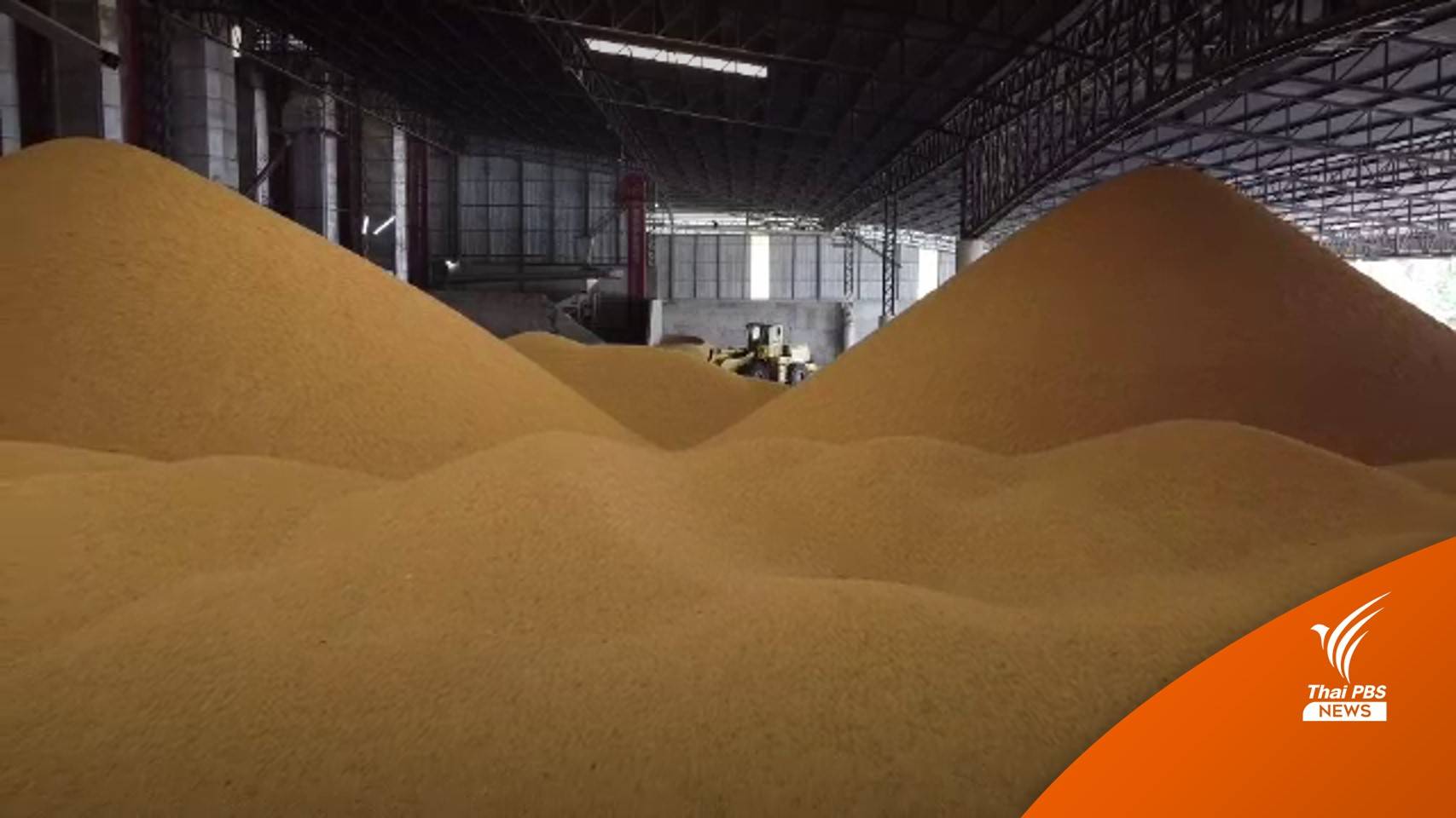 "ข้าวล้นโรงสี" ส่งออกชะลอตัว กระทบรับซื้อเกษตรกร