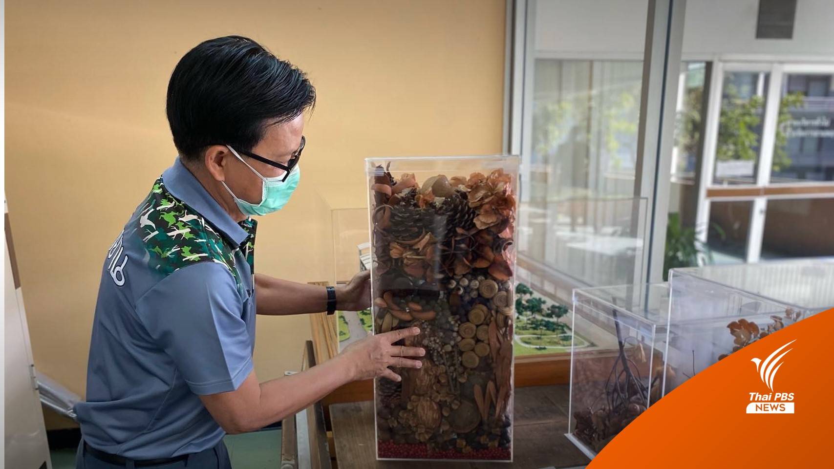 ไขคำตอบ “กระเช้าสีดา” ไม่ใช่กาฝาก เหมือนคำในละคร