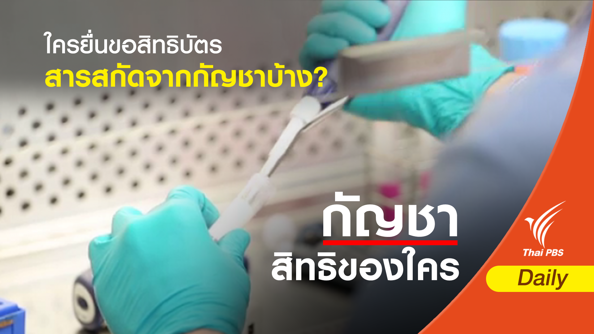 ใครยื่นขอสิทธิบัตรสารสกัดจากกัญชาบ้าง?