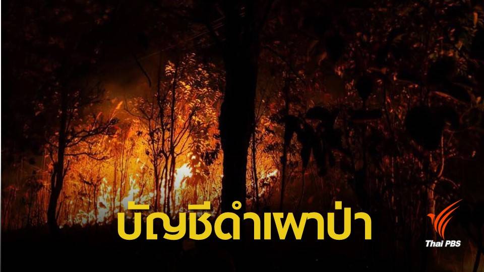ฝุ่น PM2.5 : "กรมป่าไม้" เล็งแบล็กลิสต์ 20 หมู่บ้าน 9 จว.เหนือจุดไฟป่า