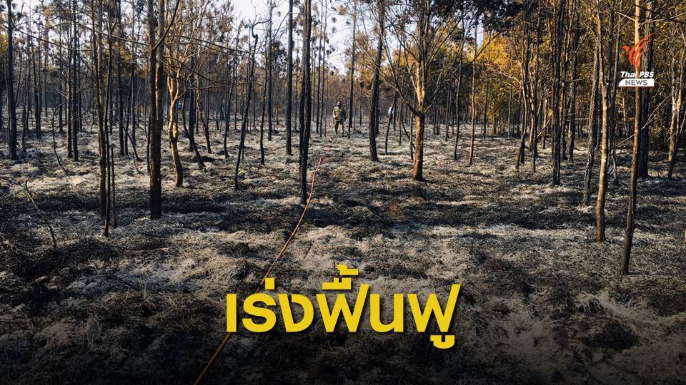 ไฟป่า "ภูกระดึง" สงบแล้ว แต่ยังเฝ้าระวังไม่ให้ปะทุซ้ำ