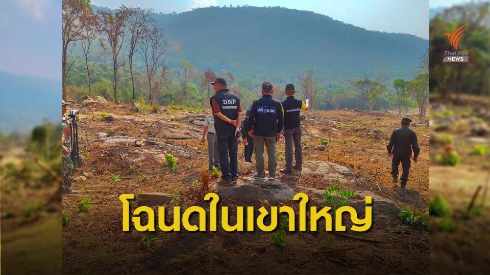 แจ้งจับ "นักการเมืองดัง" ปราจีนบุรี งาบป่าเขาใหญ่