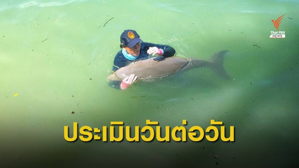 เตรียมพร้อม 24 ชม.ย้าย "มาเรียม" ขึ้น ฮ.ไปรักษาศูนย์ฯภูเก็ต