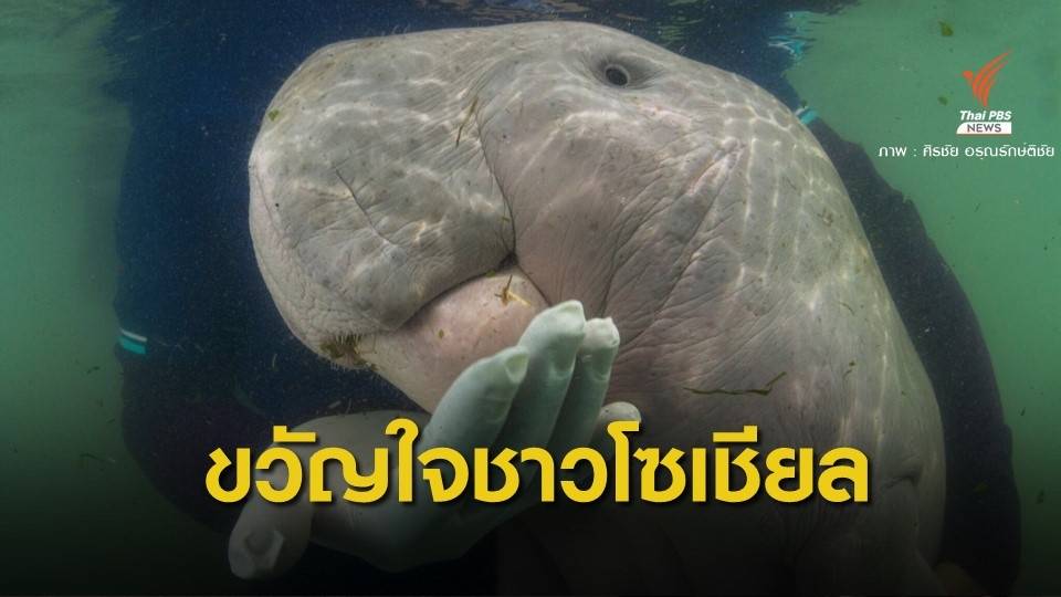 114 วัน "มาเรียม" ทูตสันถวไมตรีแห่งท้องทะเลไทย