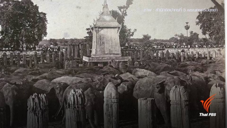 ภาพในอดีต "เสาตะลุง" เพนียดคล้องช้าง