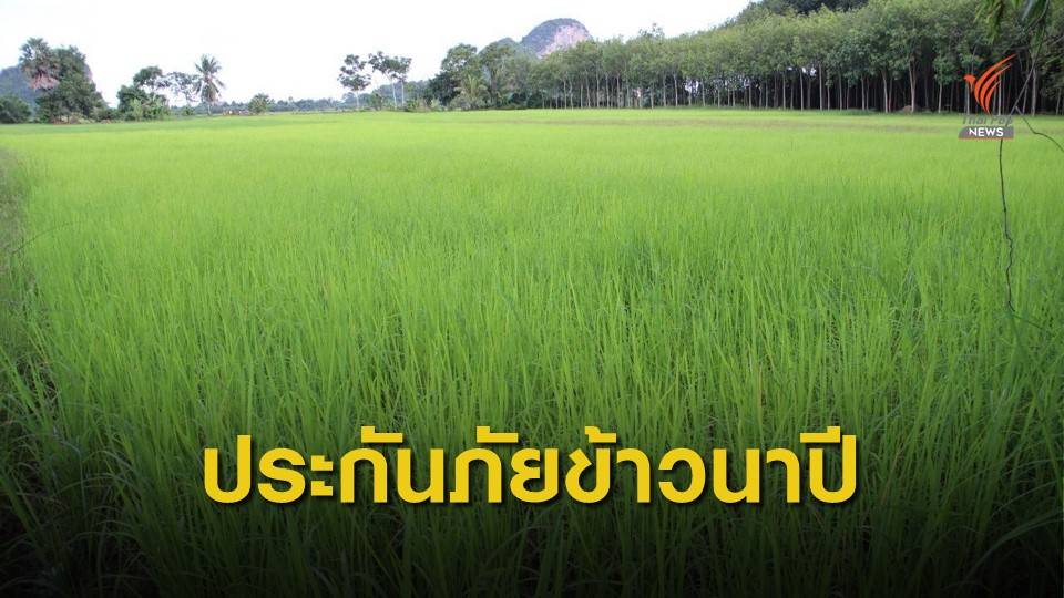 คปภ. ชวนเกษตรกรภาคใต้ทำประกันภัยข้าวนาปี