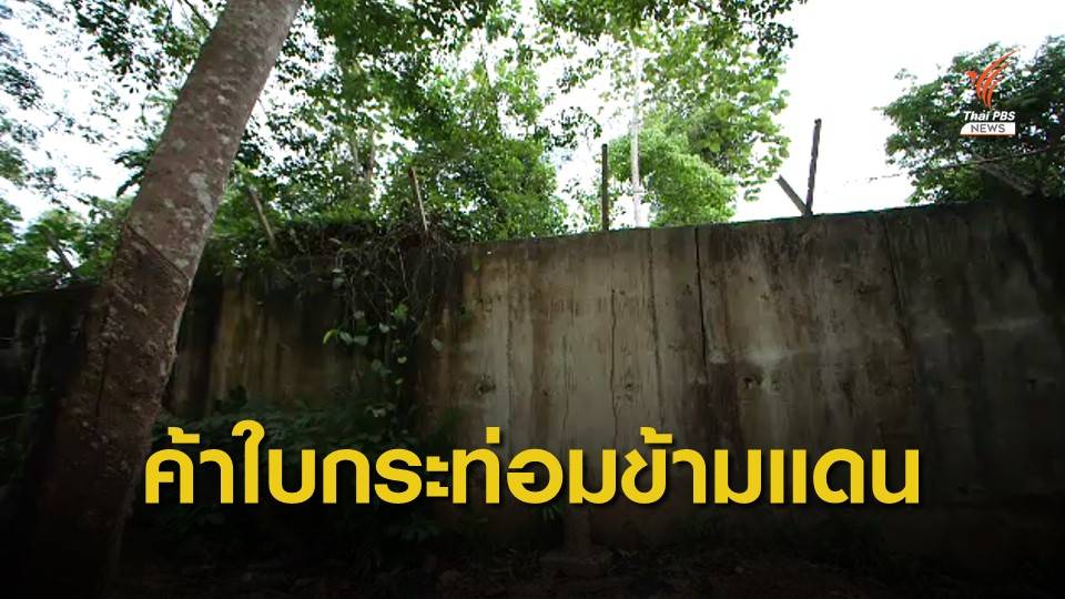 THE EXIT : ค้าใบกระท่อมข้ามแดน